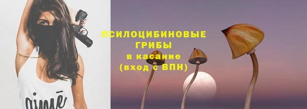 прущие грибы Пестово