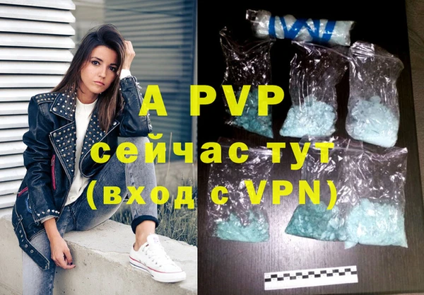 ПСИЛОЦИБИНОВЫЕ ГРИБЫ Пересвет