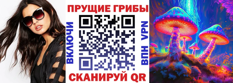 сколько стоит  Кондрово  Галлюциногенные грибы MAGIC MUSHROOMS 
